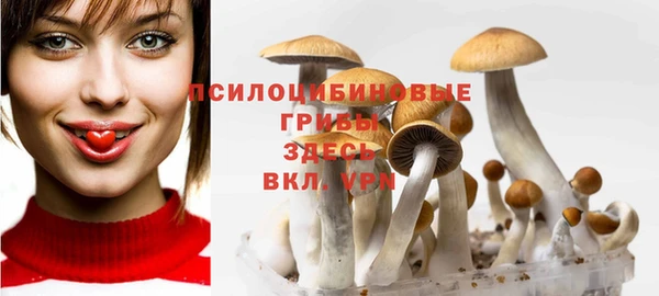 гашик Алзамай