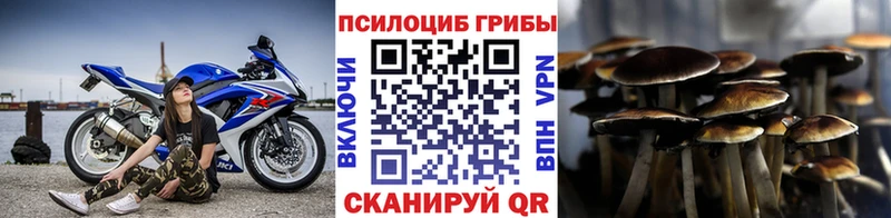 хочу наркоту  Мензелинск  Галлюциногенные грибы Psilocybe 